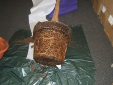 DSCF5865.jpg