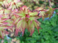 DSCN3557.JPG