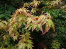 DSCN3588.JPG