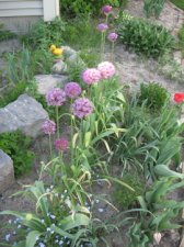 IMG_3031.jpg