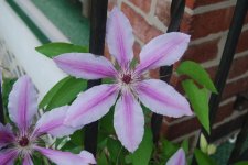 DSC_1365.jpg