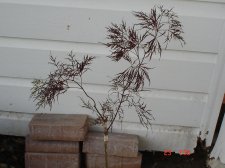 5-23-08 061.jpg