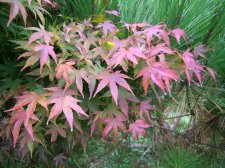 DSCN3220.jpg