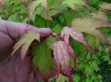 DSCN4352.JPG