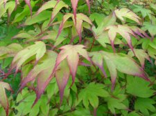 DSCN4353.JPG