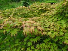 DSCN4357.JPG