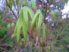 DSCN3615.JPG