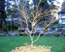 IMG_0141.JPG