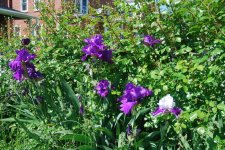 DSC_1414.jpg