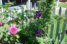 DSC_1398.jpg
