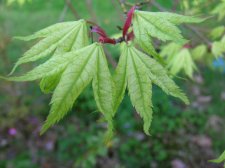 DSCN3942.JPG
