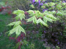 DSCN3919.JPG