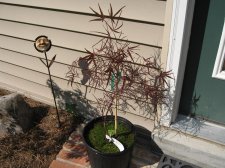 IMG_1798.jpg