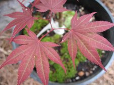 IMG_2053.jpg