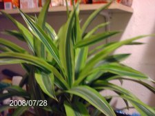 l_ce94de3b560e52cb783ed38cc27f498f.jpg