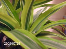 l_0a21b8ae8f0caa78de7ba3e0165c1392.jpg
