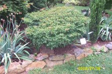 DCP_1564.jpg