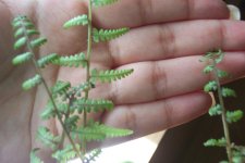 100_5832.jpg