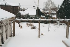 Feb  2005 001.jpg