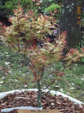 april_2005 112.jpg