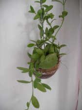 PICT0157.JPG
