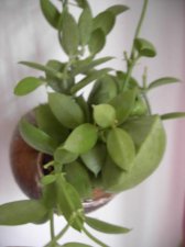 PICT0171.JPG