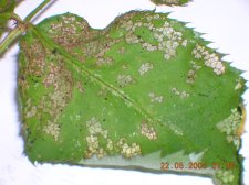 Dscn0109.jpg