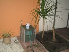 IMG_0201.jpg