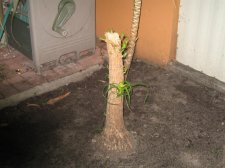 IMG_0199.jpg