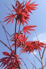 DSCF7428.jpg