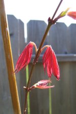 DSCF7439.jpg