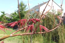 DSCF7380.jpg
