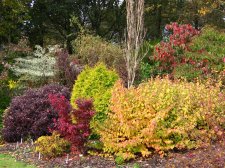 29-10-2008 10-58-07.jpg