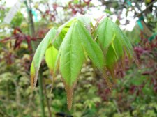 DSCN3581.JPG
