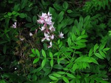 img_2141_neo_img_neo_img_112.jpg