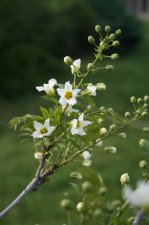 aeimg_0476_836.jpg