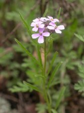 dscn7255_943.jpg