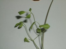 DSCF2848.jpg