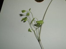 DSCF2849.jpg
