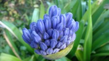 DSC01830.jpg