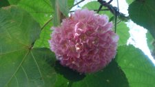 DSC01773.jpg
