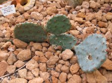 IMG_1162.jpg