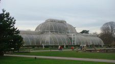 DSC02083.jpg