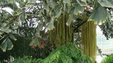 DSC00783.jpg