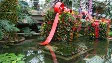 DSC00807.jpg