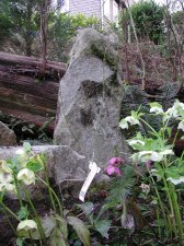 DSCN4248.jpg