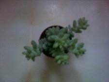 15022008196.jpg
