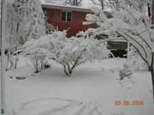 DSCN1408.jpg