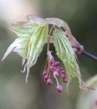 DSC_0038.jpg