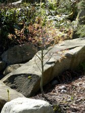 DSC_0007.jpg